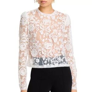 Wayfair crop beaded top